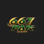 667pak Game icon