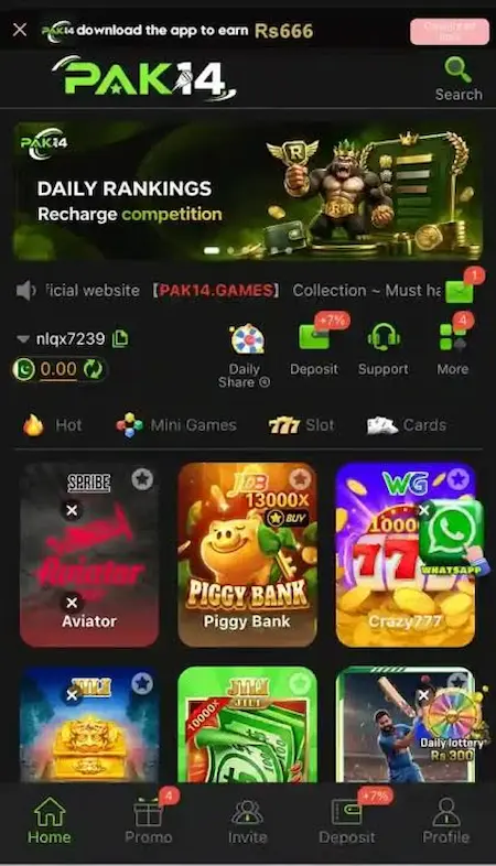 PAK14 Game interface
