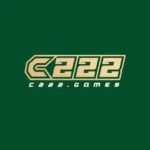 C222 Game icon